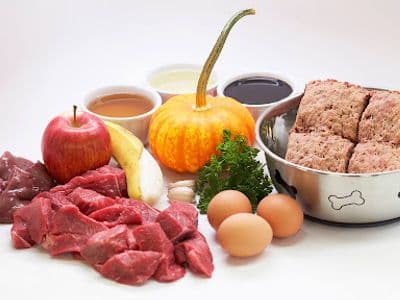 Profitable Fresh Pet Food & Retail Shop in Dandenong
